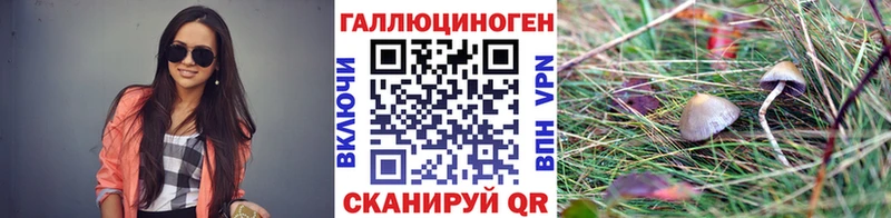 Псилоцибиновые грибы прущие грибы  купить закладку  Новоалександровск 