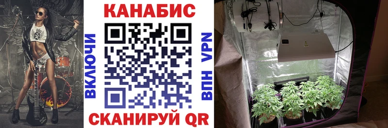 Конопля Ganja Новоалександровск